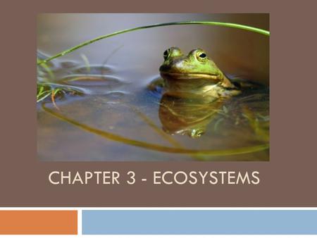 Chapter 3 - Ecosystems.