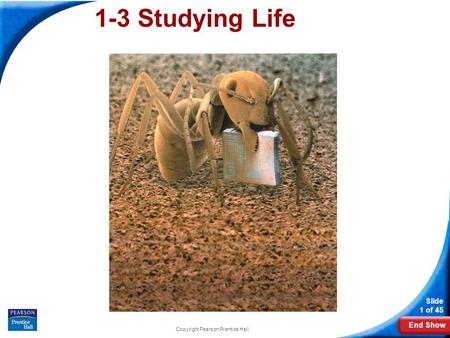 End Show Slide 1 of 45 Copyright Pearson Prentice Hall 1-3 Studying Life.
