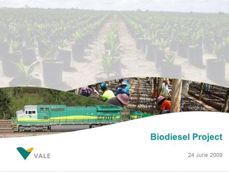 Biodiesel Project 24 June 2009. Why invest in biodiesel self-production? Biodiesel in Brazil is produced overwhelmingly using soybean There are strong.