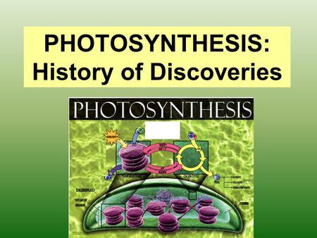 PHOTOSYNTHESIS: History of Discoveries