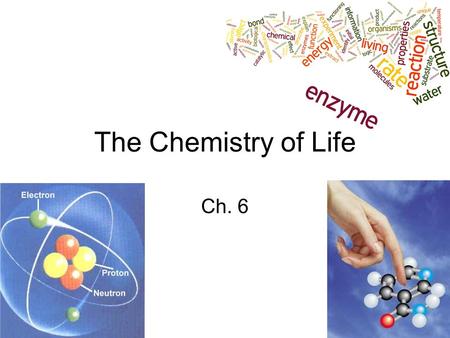 The Chemistry of Life Ch. 6.