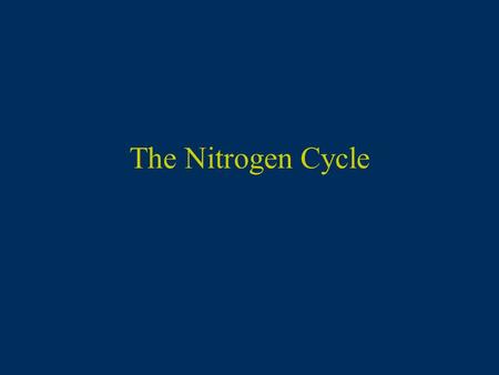 The Nitrogen Cycle. Nitrogen Cycle Nitrogen in Atmosphere = 79% Problem is getting N 2 into a form that plants can use. Most N in soil used by plants.