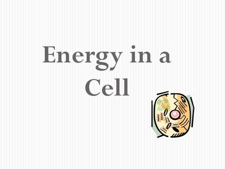 Energy in a Cell All Cells Need Energy Cells need energy to do a variety of work: Making new molecules. Building membranes and organelles. Moving molecules.