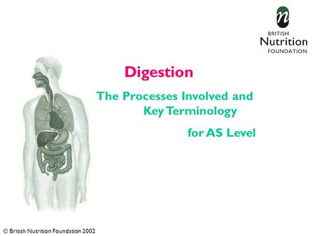 Digestion The Processes Involved and Key Terminology for AS Level © British Nutrition Foundation 2002.