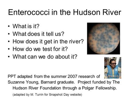 Enterococci in the Hudson River What is it? What does it tell us? How does it get in the river? How do we test for it? What can we do about it? PPT adapted.