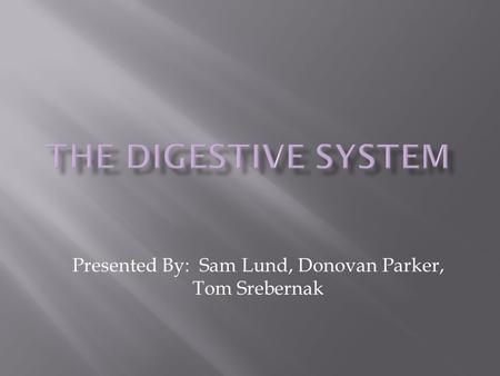 Presented By: Sam Lund, Donovan Parker, Tom Srebernak