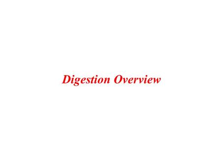 Digestion Overview. salivary α-amylase, mucins - parotid, submandibular, sublingual glands lingual lipase - lingual serous bicarbonate ion, mucus - mucosal.