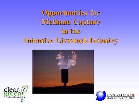 Opportunities for Methane Capture in the Intensive Livestock Industry.