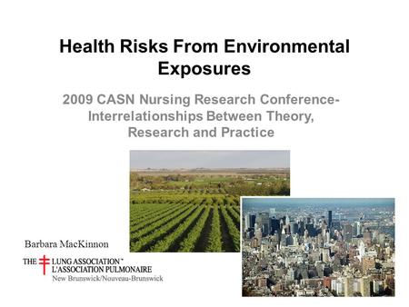 Health Risks From Environmental Exposures 2009 CASN Nursing Research Conference- Interrelationships Between Theory, Research and Practice Barbara MacKinnon.