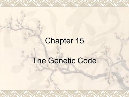 Chapter 15 The Genetic Code. The Central Dogma  Which of the triplet codons are responsible for specifying which amino acid and what are the rules that.