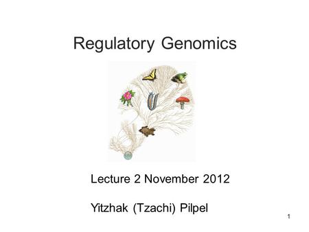 Regulatory Genomics Lecture 2 November 2012 Yitzhak (Tzachi) Pilpel 1.
