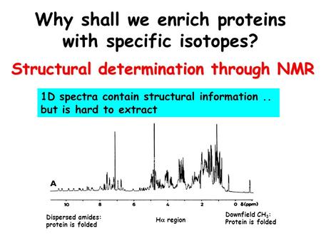 Why shall we enrich proteins with specific isotopes? Structural determination through NMR 1D spectra contain structural information.. but is hard to extract.