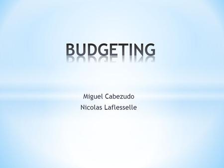 Miguel Cabezudo Nicolas Laflesselle. Financial plans are called budgets and the process of making, monitoring and adjusting them is called budgetary control.