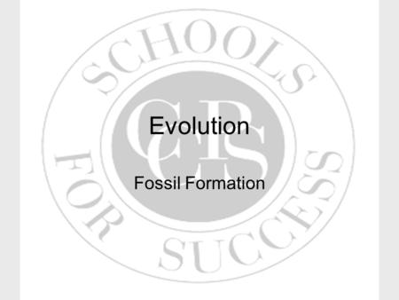 Evolution Fossil Formation. Maryland Content Standard Explain that in any particular environment, the growth and survival of organisms and species depend.