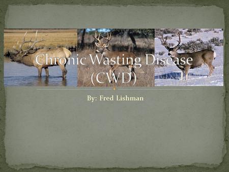 Chronic Wasting Disease (CWD)