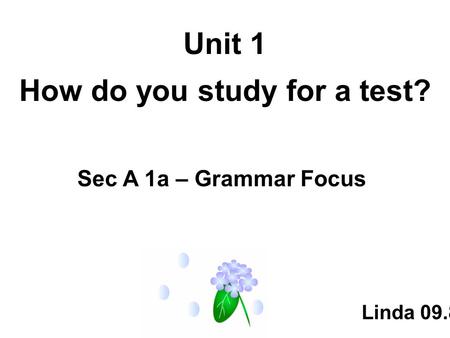 Unit 1 How do you study for a test? Sec A 1a – Grammar Focus Linda 09.8.