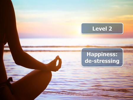 Level 2 Happiness: de-stressing. do make take up.