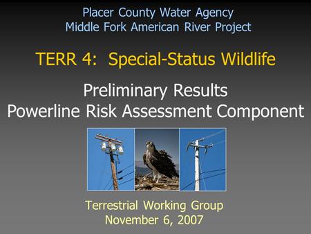 Placer County Water Agency Middle Fork American River Project Terrestrial Working Group November 6, 2007 TERR 4: Special-Status Wildlife Preliminary Results.