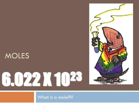 Moles 6.022 X 1023 What is a mole?!?.