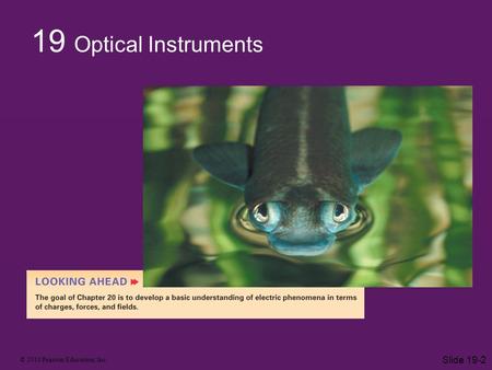 © 2010 Pearson Education, Inc. Slide 19-2 19 Optical Instruments.