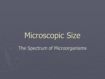 Microscopic Size The Spectrum of Microorganisms. Cell Size ► The smallest objects visible to the unaided eye are about 0.1 mm long  Amoeba  Human egg.