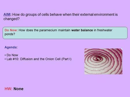 AIM: How do groups of cells behave when their external environment is changed? Do Now: How does the paramecium maintain water balance in freshwater ponds?