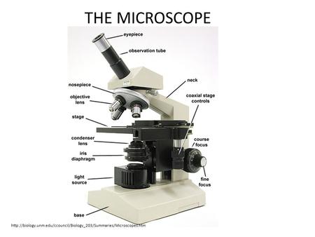THE MICROSCOPE http://biology.unm.edu/ccouncil/Biology_203/Summaries/Microscopes.htm.