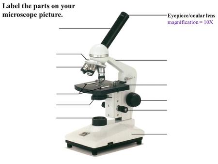 Label the parts on your microscope picture.