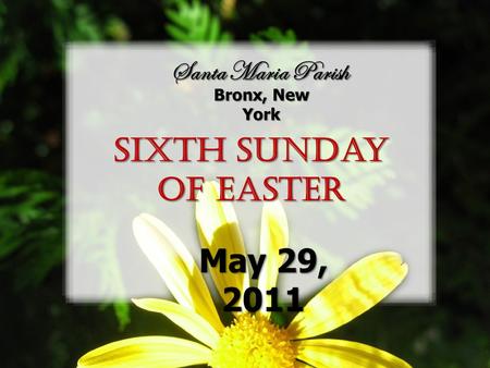 Santa Maria Parish Bronx, New York Sixth Sunday of Easter May 29, 2011.