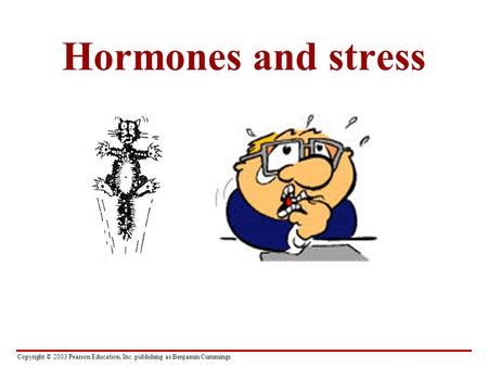 Copyright © 2003 Pearson Education, Inc. publishing as Benjamin Cummings Hormones and stress.