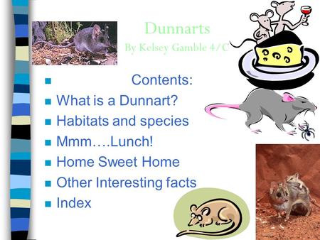 Dunnarts By Kelsey Gamble 4/C n Contents: n What is a Dunnart? n Habitats and species n Mmm….Lunch! n Home Sweet Home n Other Interesting facts n Index.