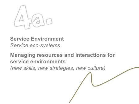 Service Environment Service eco-systems Managing resources and interactions for service environments (new skills, new strategies, new culture)
