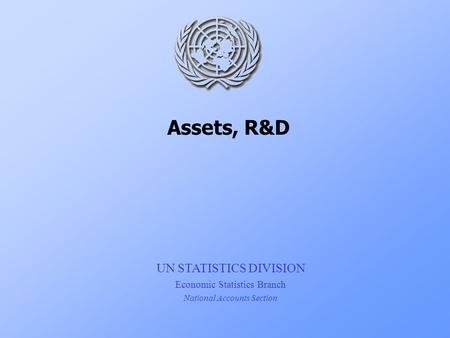 UN STATISTICS DIVISION Economic Statistics Branch National Accounts Section Assets, R&D.