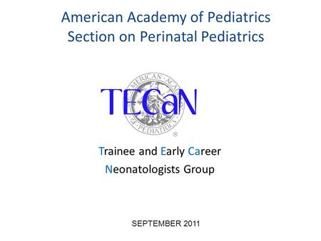 American Academy of Pediatrics Section on Perinatal Pediatrics Trainee and Early Career Neonatologists Group SEPTEMBER 2011.