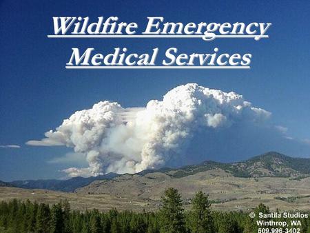 Wildfire Emergency Medical Services. Ojectives EMS roles during wildland incidents Types of injuries Wildland Terminology Fire Shelters.