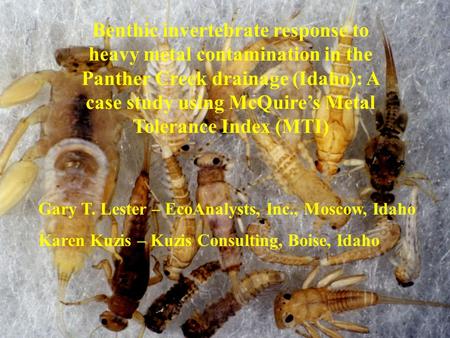 Benthic invertebrate response to heavy metal contamination in the Panther Creek drainage (Idaho): A case study using McQuire’s Metal Tolerance Index (MTI)