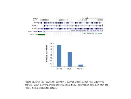 Figure S1. RNA-seq results for caveolin-1 (Cav1). Upper panel: UCSC genome browser view. Lower panel: quantification o f Cav1 expression based on RNA-seq.