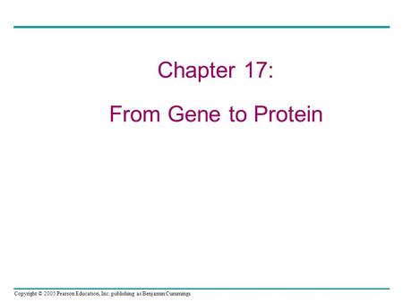 Chapter 17: From Gene to Protein.