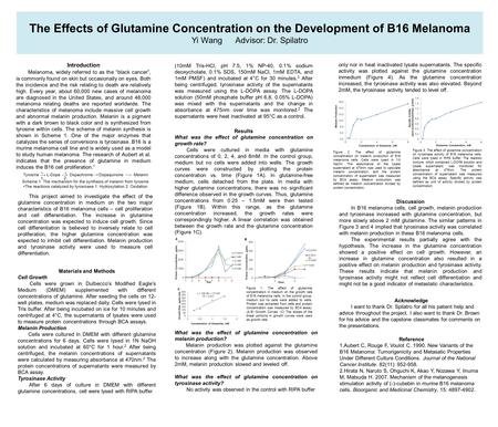 The Effects of Glutamine Concentration on the Development of B16 Melanoma Yi Wang Advisor: Dr. Spilatro Introduction Melanoma, widely referred to as the.