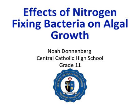 Effects of Nitrogen Fixing Bacteria on Algal Growth Noah Donnenberg Central Catholic High School Grade 11.