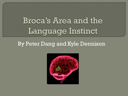 By Peter Dang and Kyle Dennison.  Ability to acquire language is a unique and essential human trait  Chomsky’s Universal Grammar The human brain contains.