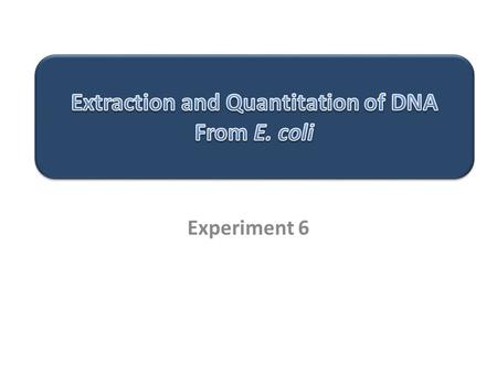Extraction and Quantitation of DNA From E. coli