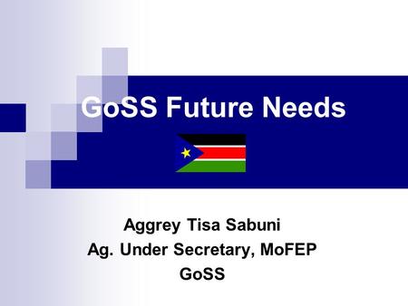 GoSS Future Needs Aggrey Tisa Sabuni Ag. Under Secretary, MoFEP GoSS.