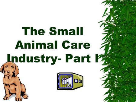 The Small Animal Care Industry- Part I