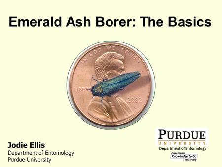 Emerald Ash Borer: The Basics Jodie Ellis Department of Entomology Purdue University.