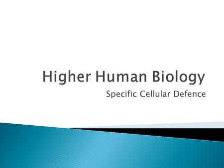 Specific Cellular Defence.  Range of white blood cells (WBCs) circulate monitoring for damage, pathogens or cancerous cells  In response to damage or.