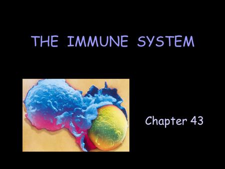 THE IMMUNE SYSTEM Human phagocyte engulfing a yeast cell. Chapter 43.