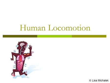 Human Locomotion © Lisa Michalek. Locomotion  The interaction of muscles with the skeleton that results in body movement is known as locomotion.  Locomotion.