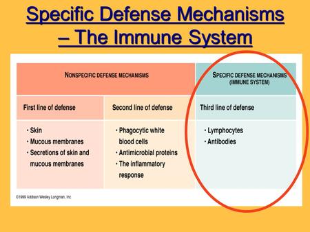 Specific Defense Mechanisms – The Immune System