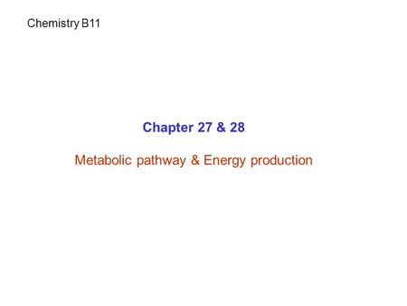 Chapter 27 & 28 Metabolic pathway & Energy production Chemistry B11.